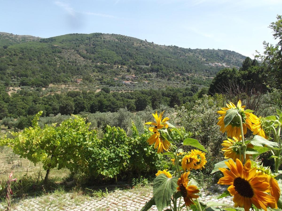 Apartmán Quinta Do Pina Guarda Exteriér fotografie