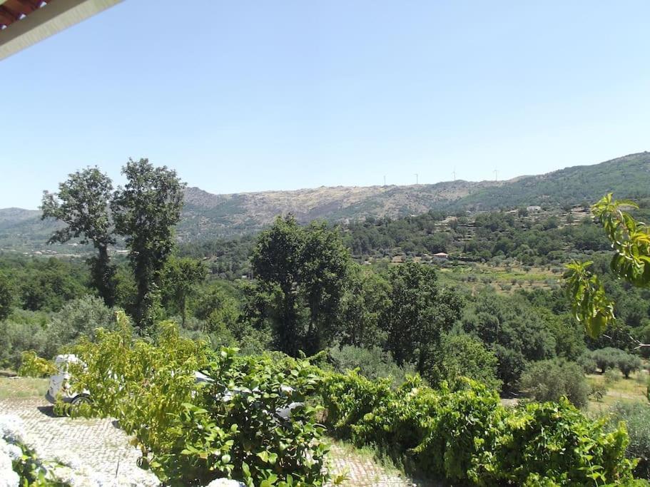 Apartmán Quinta Do Pina Guarda Exteriér fotografie
