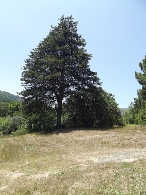 Apartmán Quinta Do Pina Guarda Exteriér fotografie